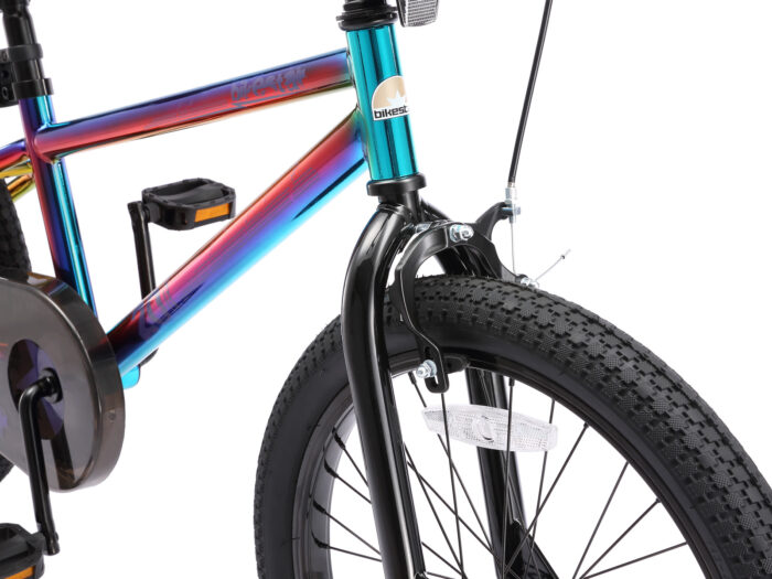 BI 20 BX BKBE voorvork