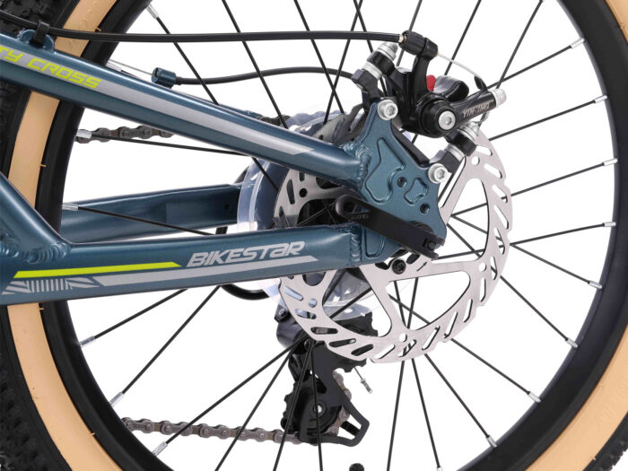 BI 20 MF CC PLLE schijfrem