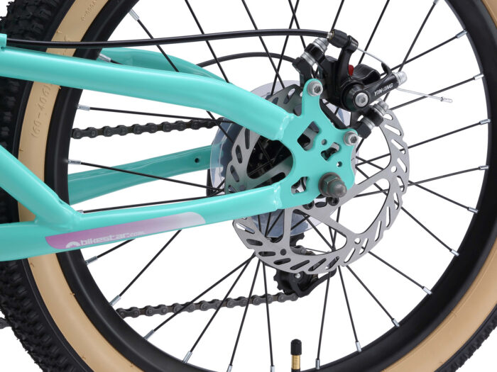 BI 20 MF XO MTPK schijfrem