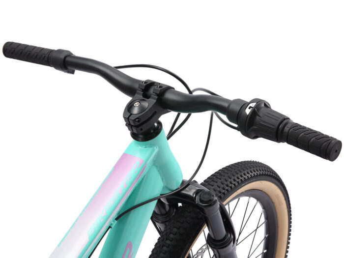 BI 20 MF XO MTPK stuur