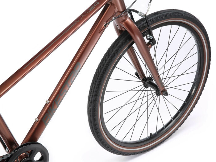 Bike star 24 copper 5