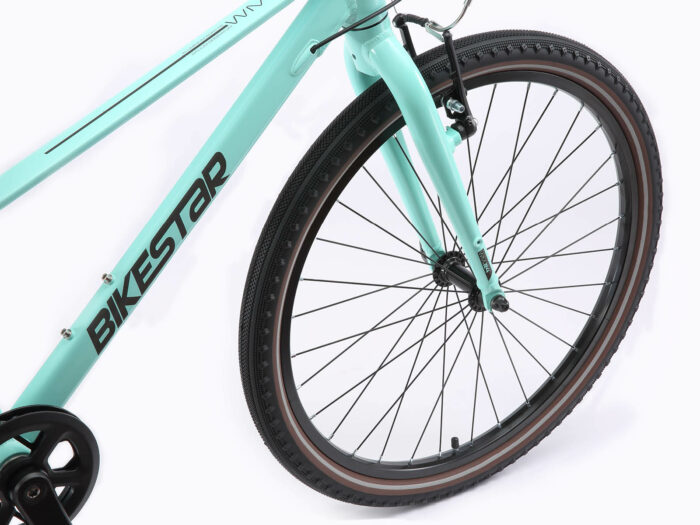 Bike star 24 mint 4