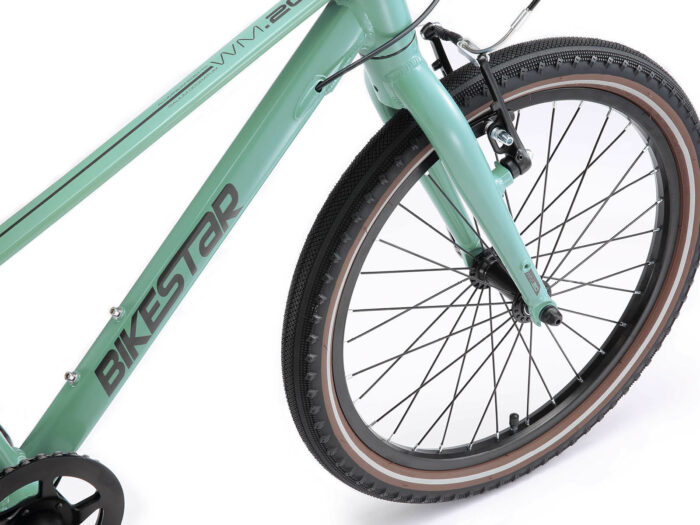 bike star 20 green 5