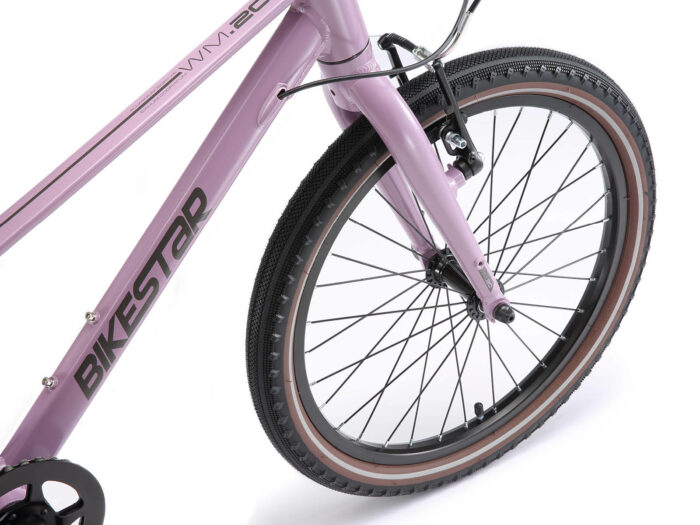 bike star 20 plum 5