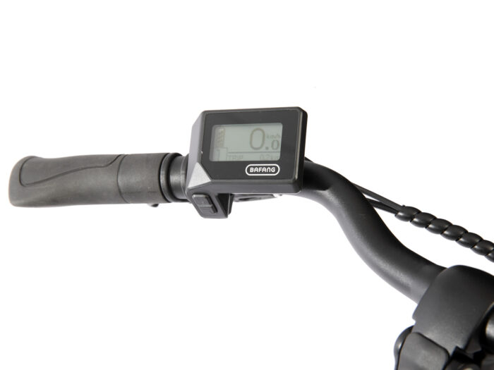 8721082621342 Amant Automatic celtic display