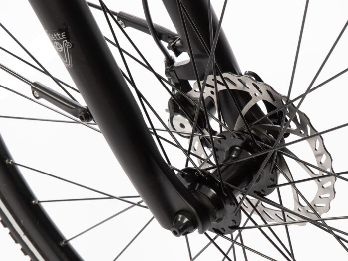 8721082621342 Amant Automatic celtic rem