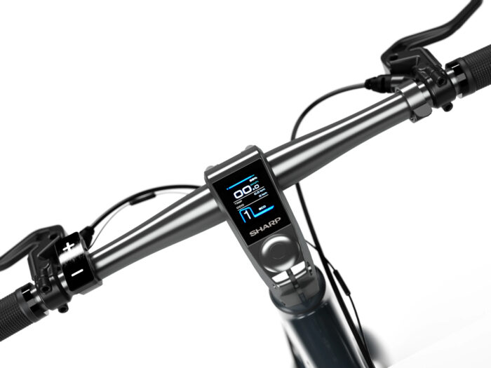 Sharp RS08EB 5903802468274 display