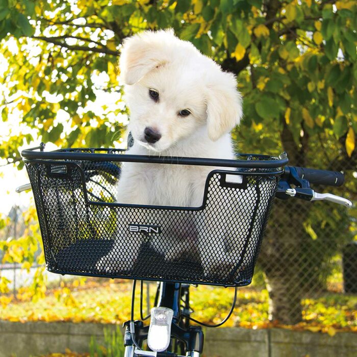 CE106N cesto brn happy pet trasporto animali anteriore 2 Z