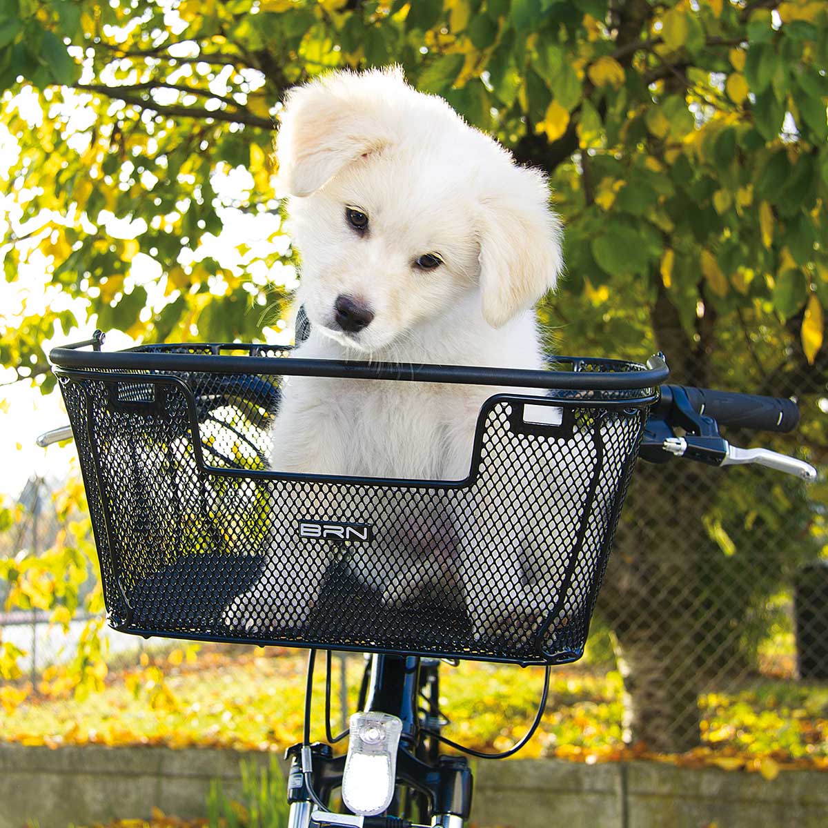 CE106N cesto brn happy pet trasporto animali anteriore 2 Z