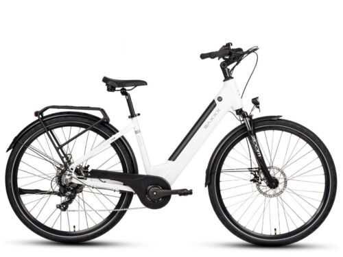 Saxxx Comfort Sport Easy 7 sp wit
