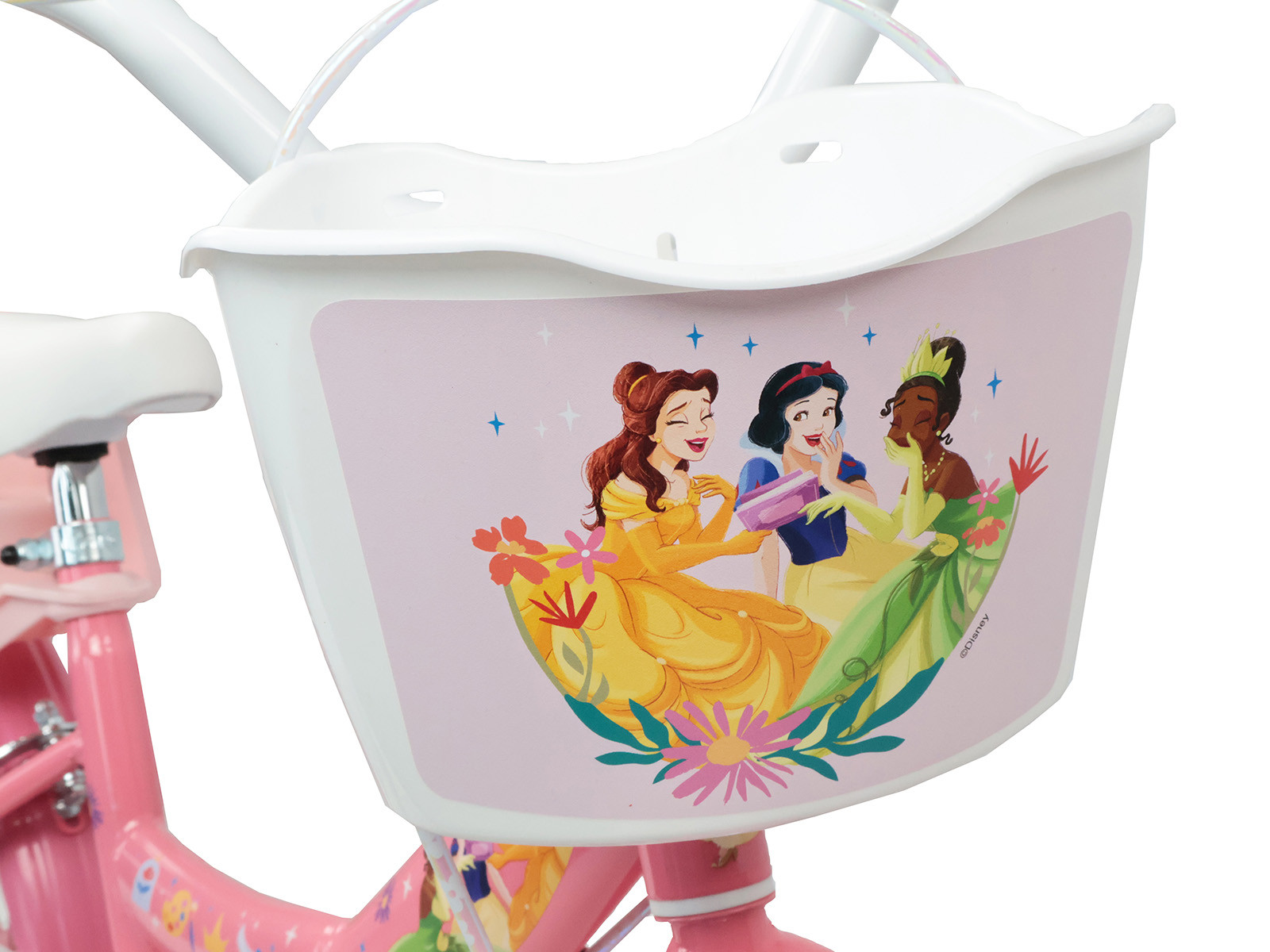 14 Princess Foto1 DG